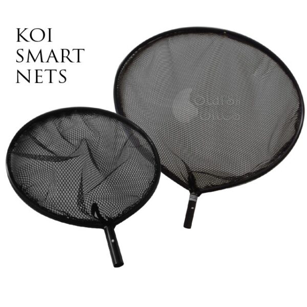 Smart Koi Nets Koi Enterprise