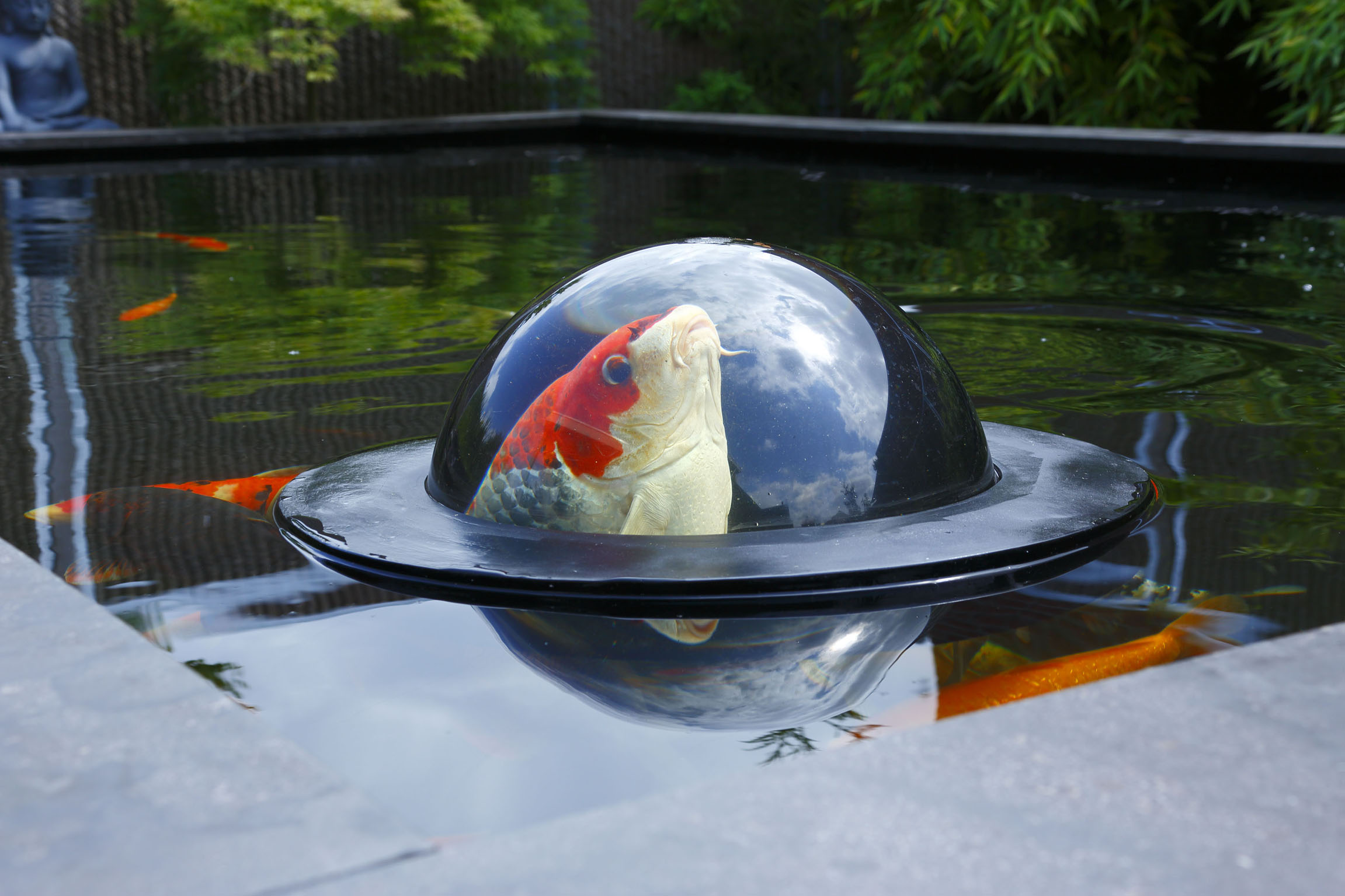 Floating Fish Dome Large Koifarm