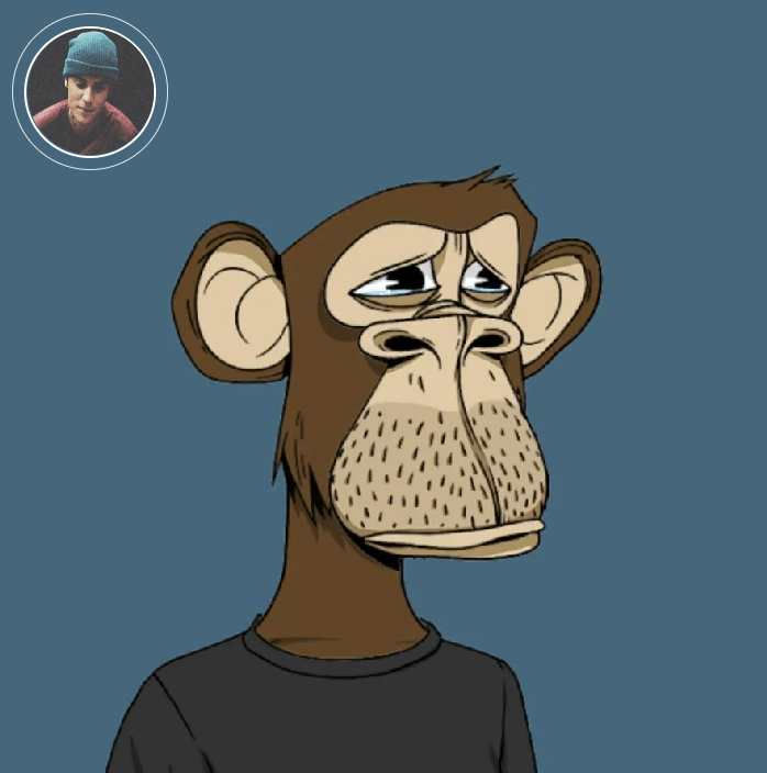 NFT Monkey Berkenalan dengan Pengertian dan Keunikannya