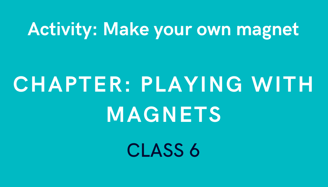 Make your own in Playing With Class 6 Science Experiment