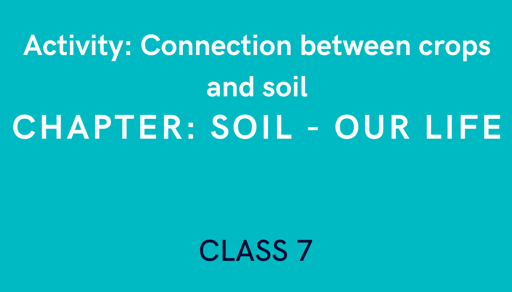 Connection between crops and soil in Soil in Soil Our Life Class 7