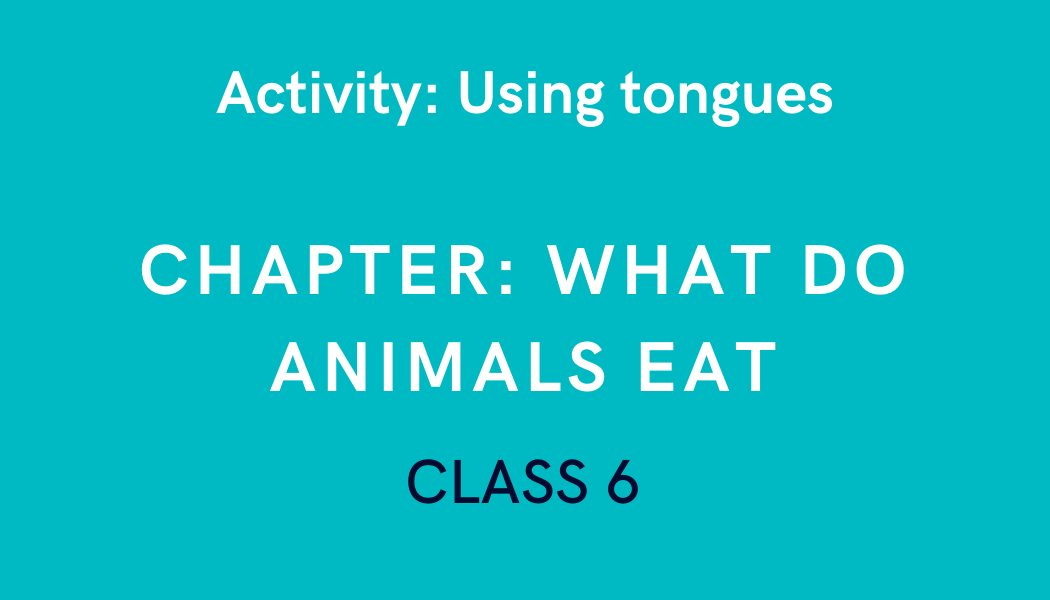 Using tongues in What do animals eat Class 6 Science Experiment