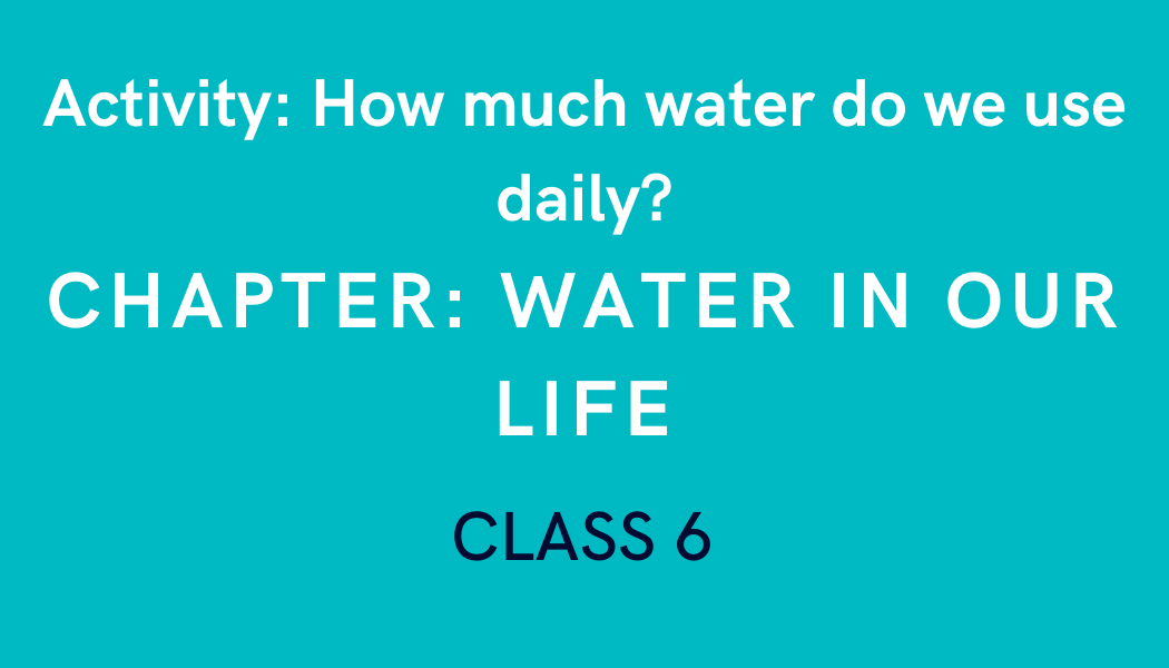 How much water do we use daily? in Water in our life Class 6 Science