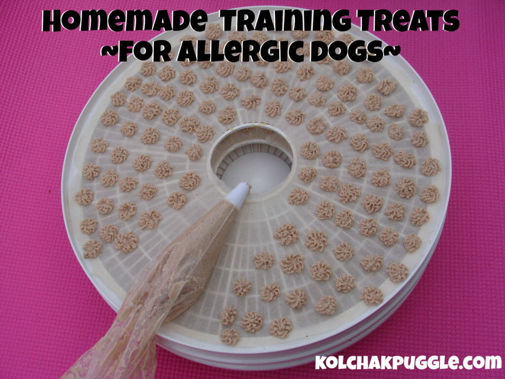 Homemade Training Treats for Dogs with Allergies Kol's Notes