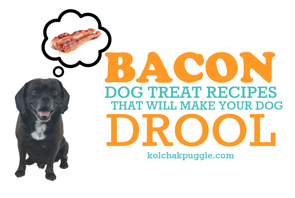 5 Zucchini Dog Treats Recipes Your Pooch Will Love Kol's Notes