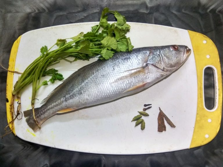 Buy Bhola Bhetki/Jewfish Online Online Fish Store Of Kolkata