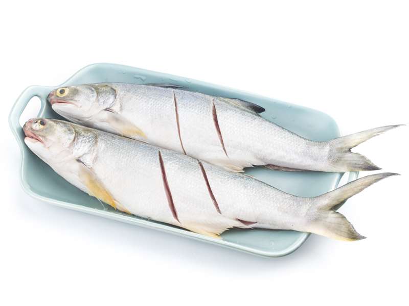 Buy Indian Salmon Online Online Fish&Meat Store Of Kolkata