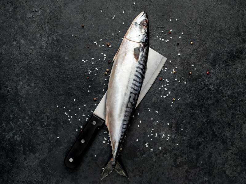 Mackerel Fish Online Online Fish&Meat Store Of Kolkata