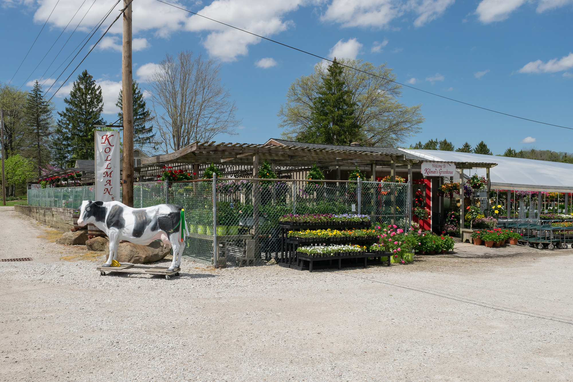 kollmans100 Greenhouse & Garden Center Twinsburg Ohio