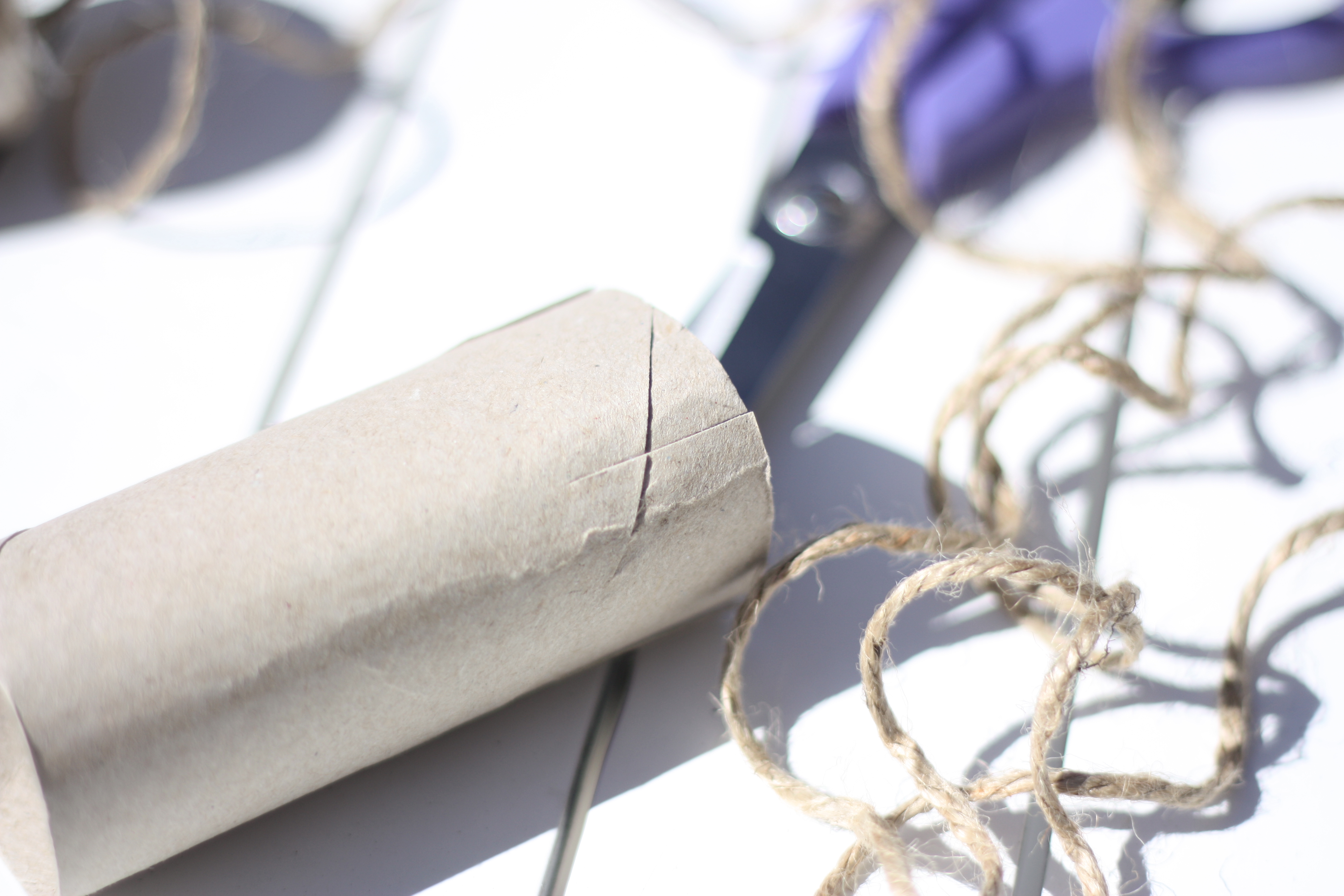 såkruka Så I Kruka Av Toarulle | Kolossalt Pyssligt