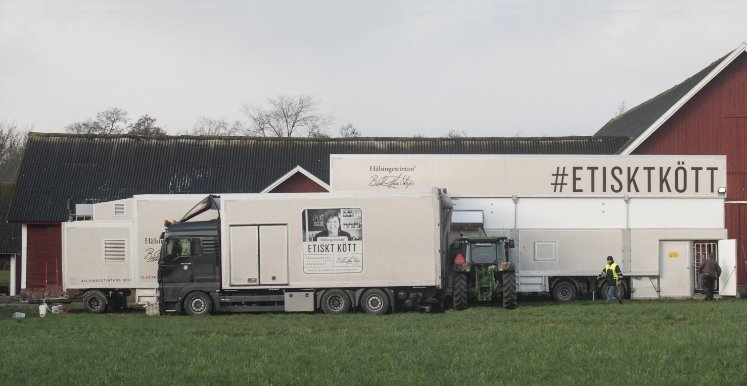 Kometos delivers a mobile slaughterhouse for beef cattle in France