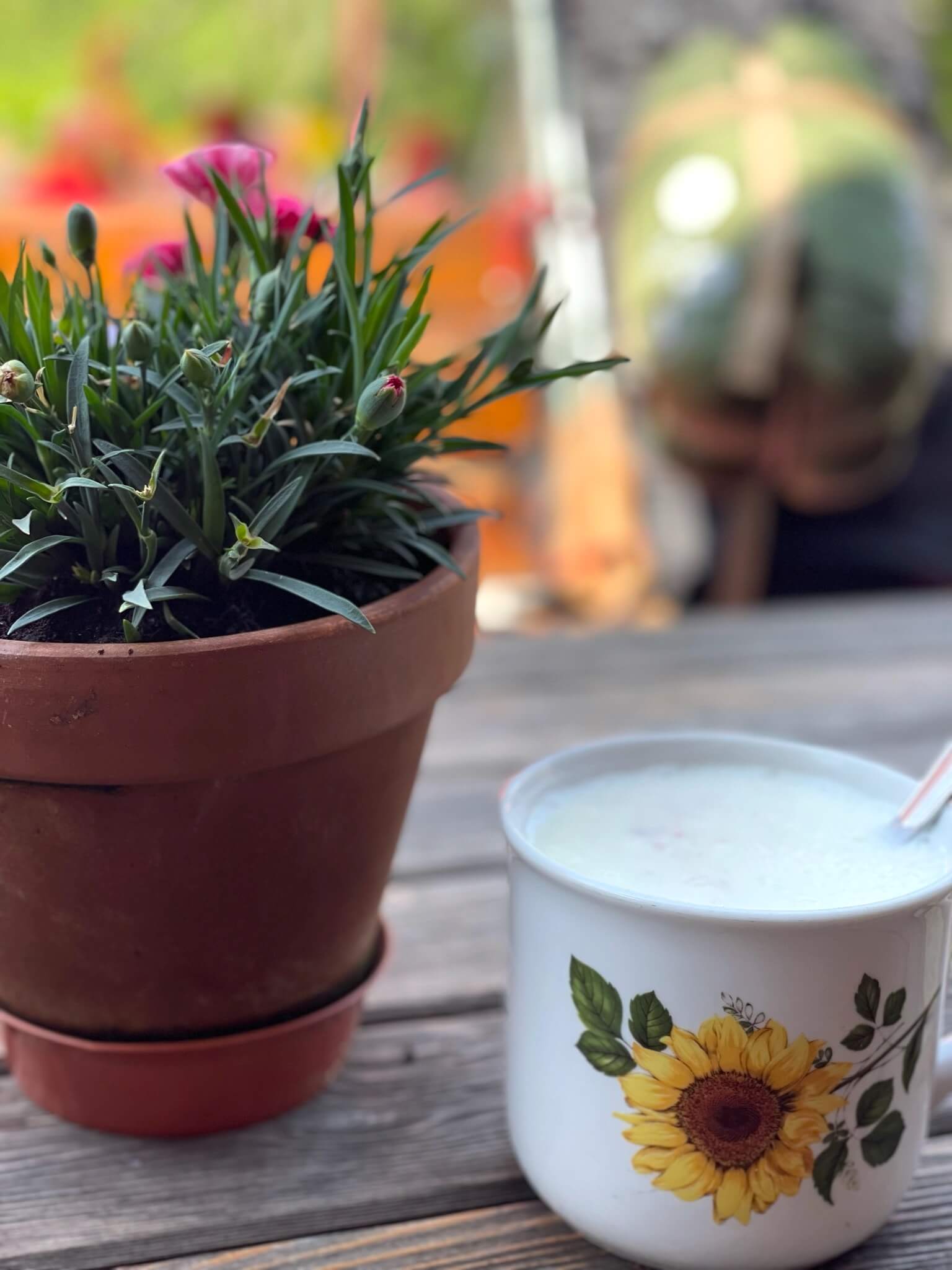 Buttermilch auf der Kralehenhütte