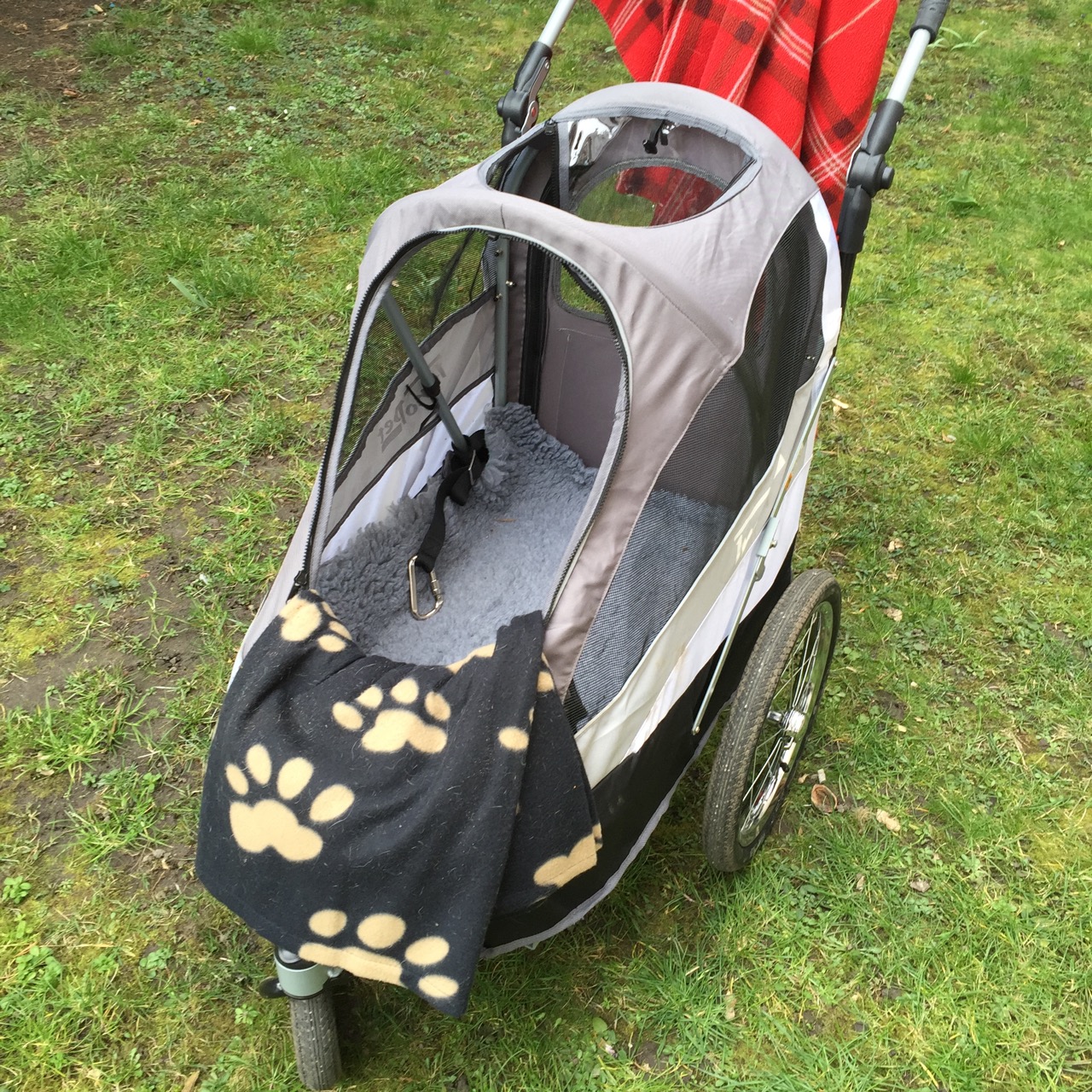Kinderwagen für Hunde? Ein Hundebuggy im Test. Kommst du hierher