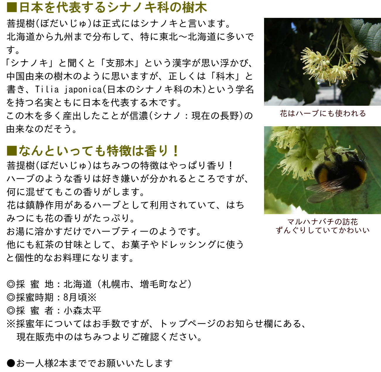 ぼだいじゅ（シナ）蜂蜜