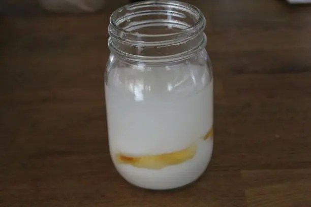 ヨーグルト酵母（エキス）の作り方・種継ぎ・保存方法 小麦＋｜自家製酵母で作るおうちパンレシピ