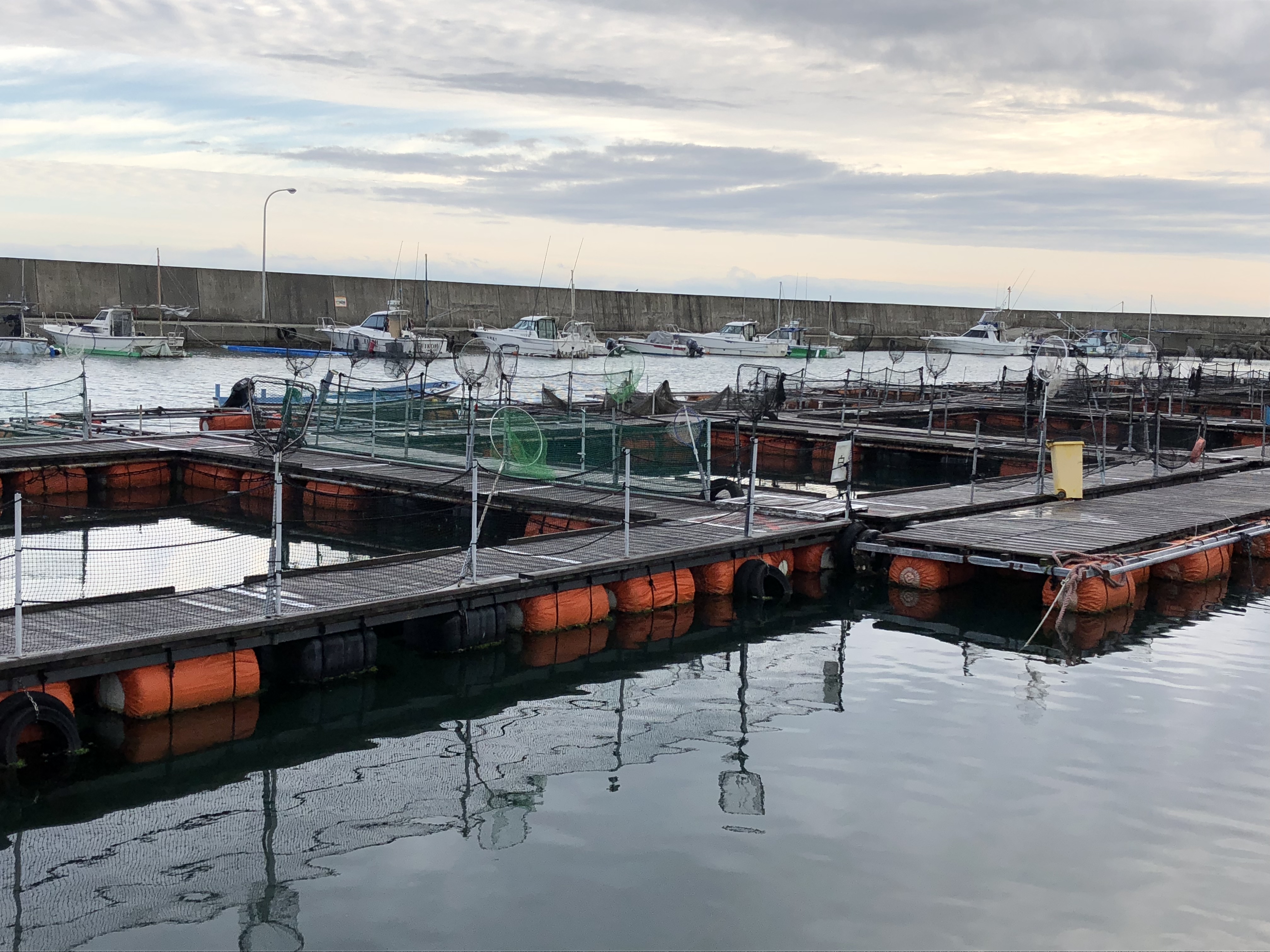 【大阪】海上釣り堀へ行ってみよう！海上釣り堀サザン編【利用方法】 ツリタノ！