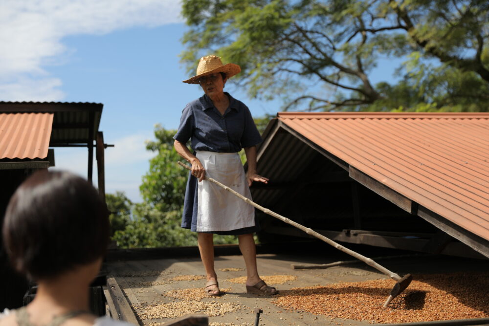 KONA COFFEE LIVING HISTORY FARM TOUR Kona Coffee Cultural Festival