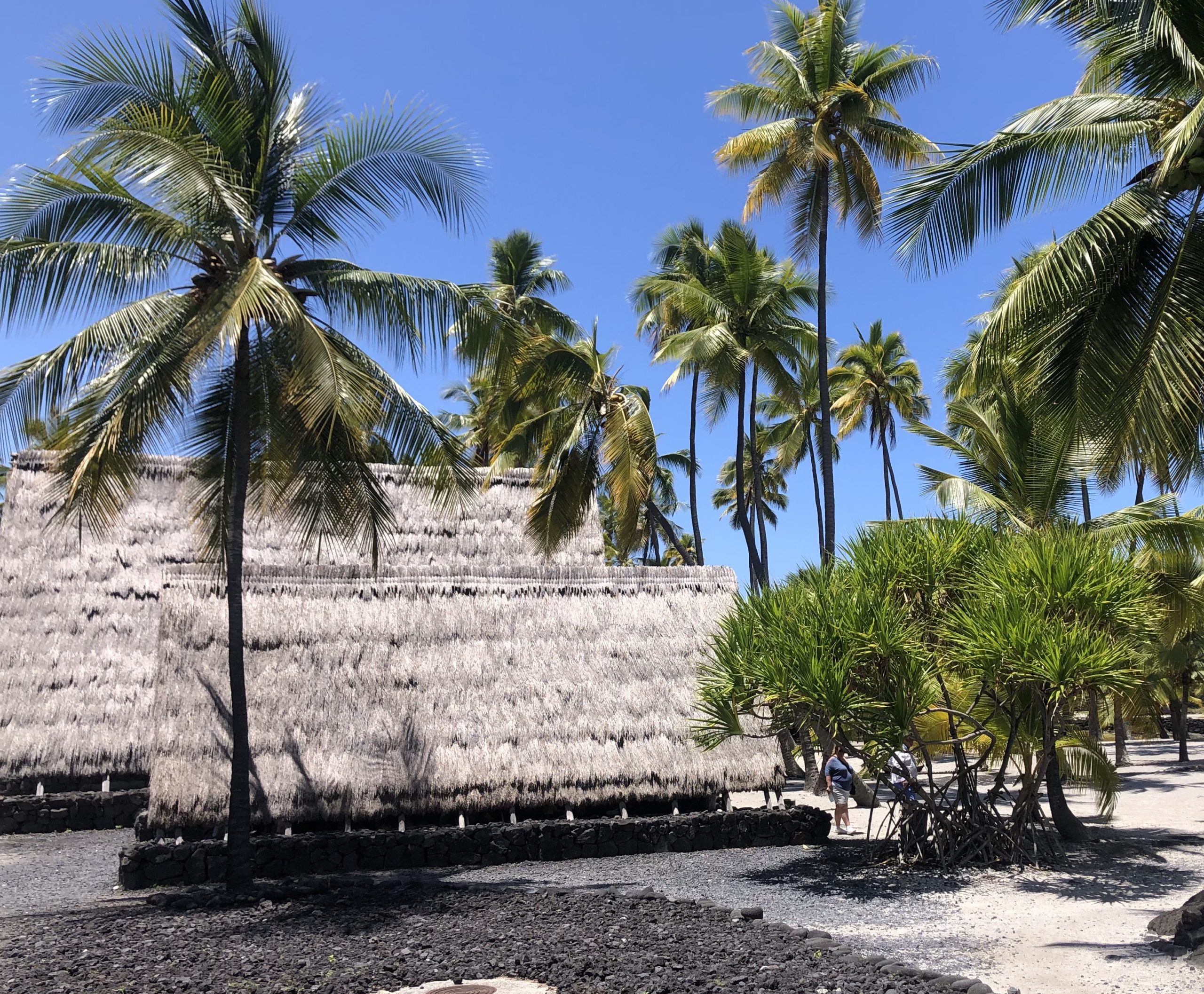 Safe Travel Hawaii is Expiring! Kona Vacation Rentals