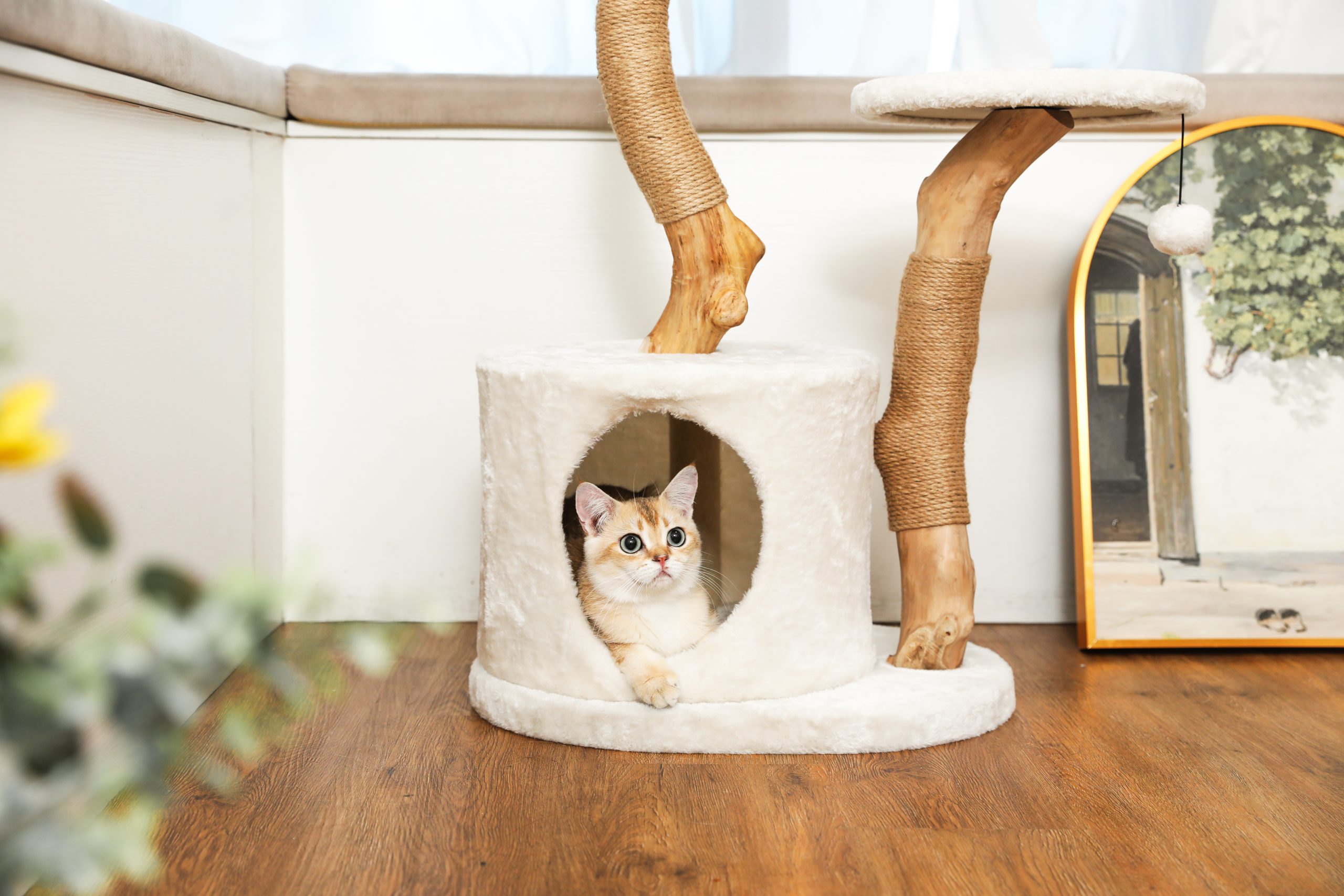 KONELCARE Modern Luxury Cat Tree for Indoor Small Cats Real Wood Cat