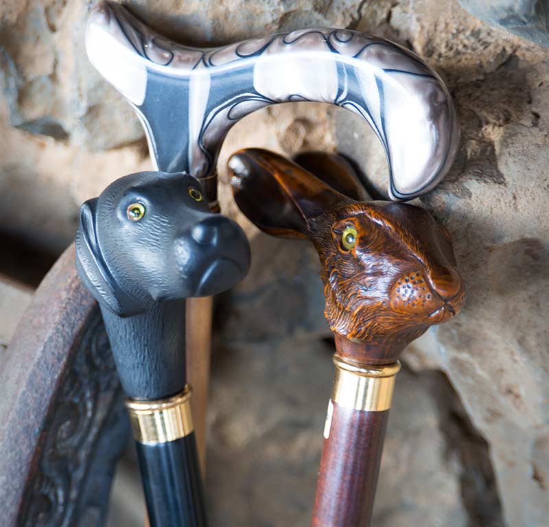 Harvy Canes Kong Lung Trading