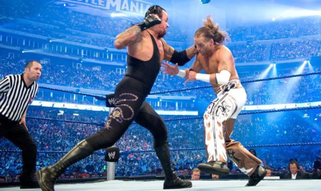 Best WWE Matches Of All Time