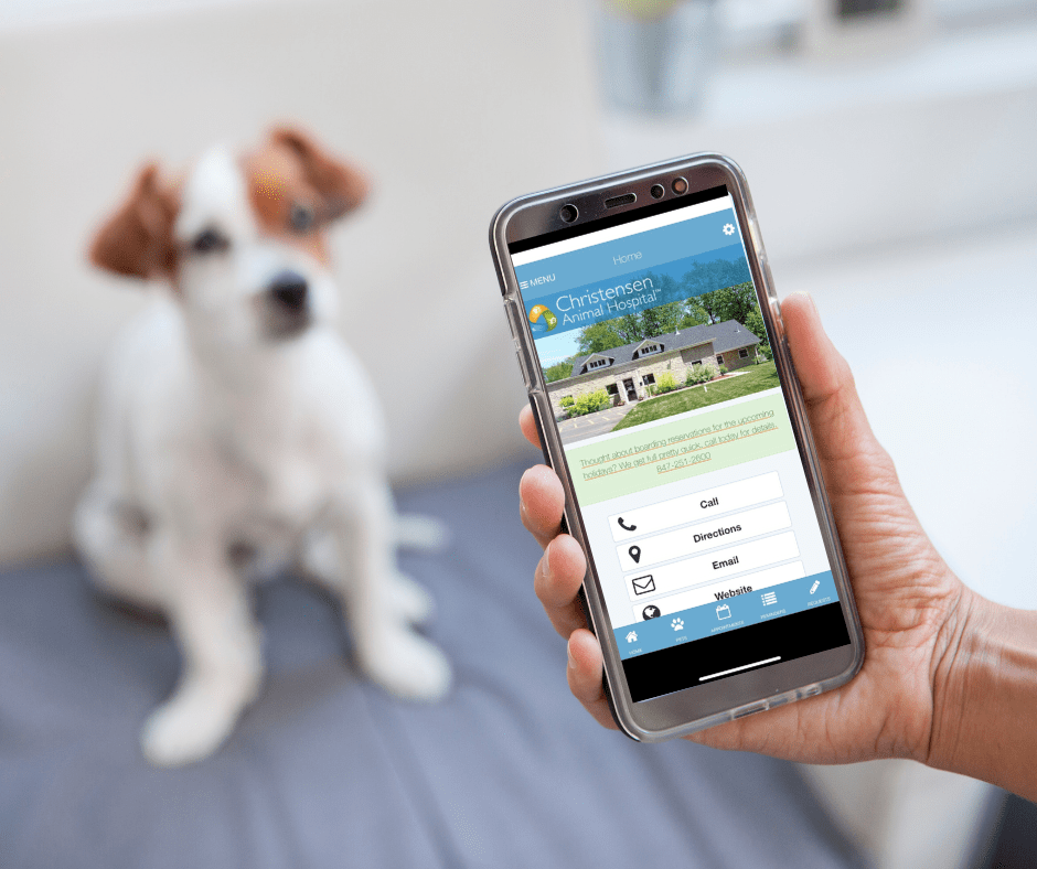 Top 10 Apps for Dog Owners