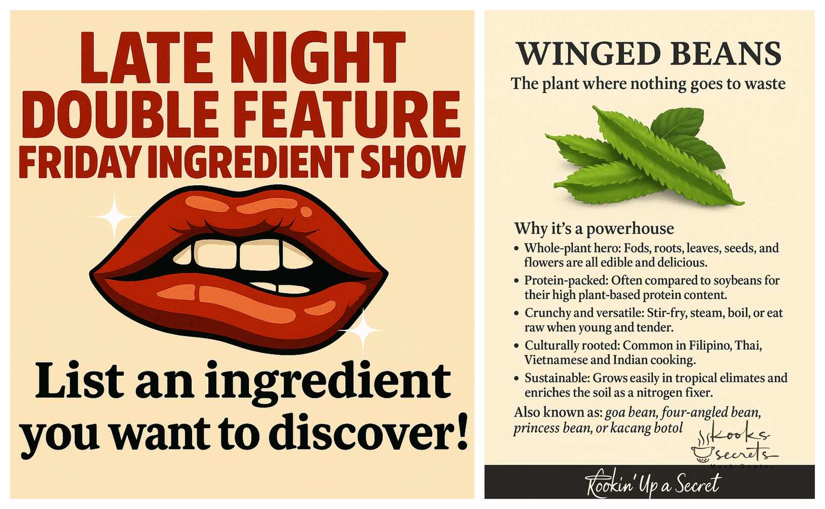 Late Night Double Feature Friday Ingredient Show! 🍋🍲Part 13 Kooks Secrets