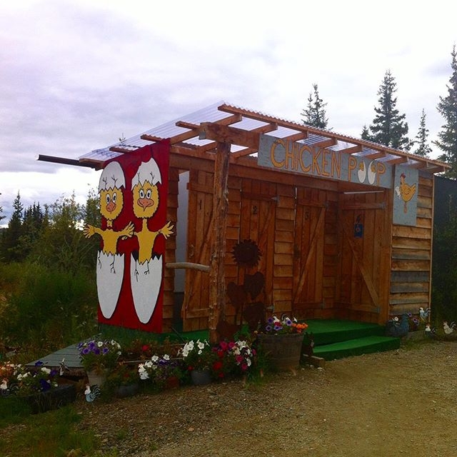 A town called Chicken, Alaska kooky traveller