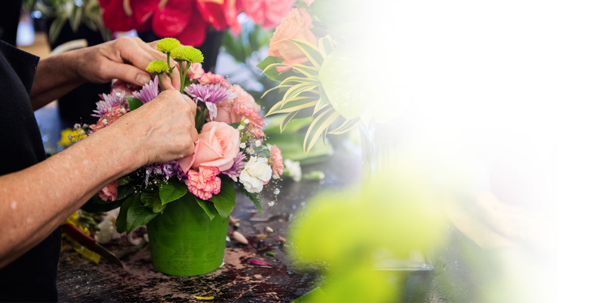 Koolau Farmers Oahu's Tropical Flower, Fruit, & Plant Nursery