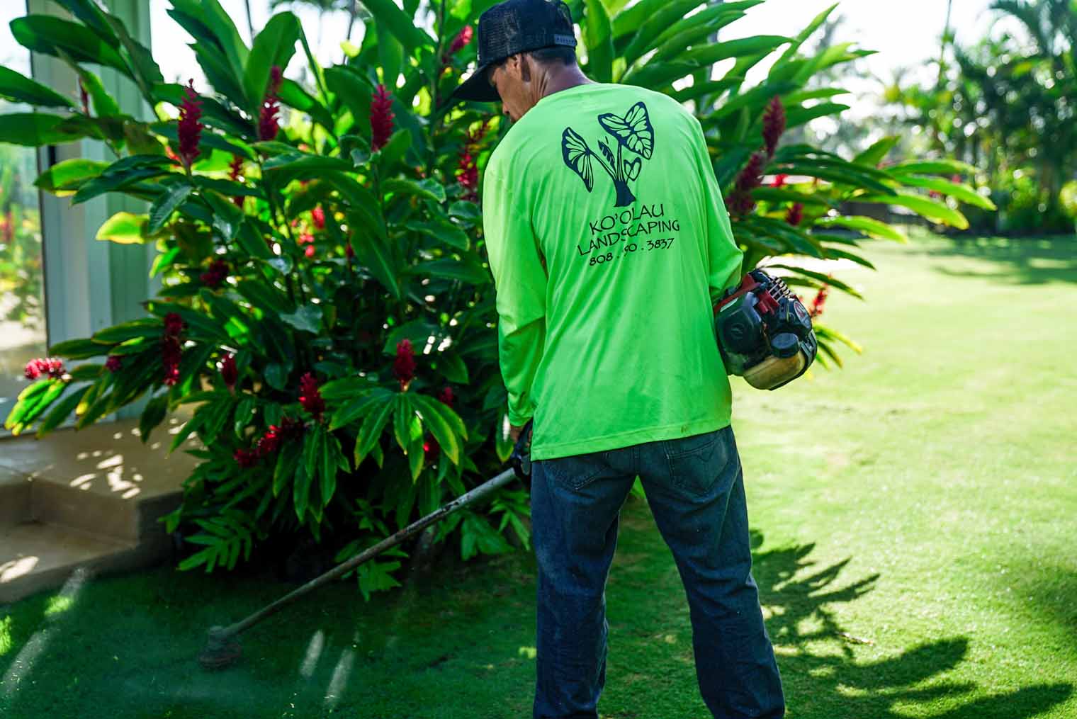 Landscape Maintenance for Kailua, Kaneohe, and Windward Oahu Koolau