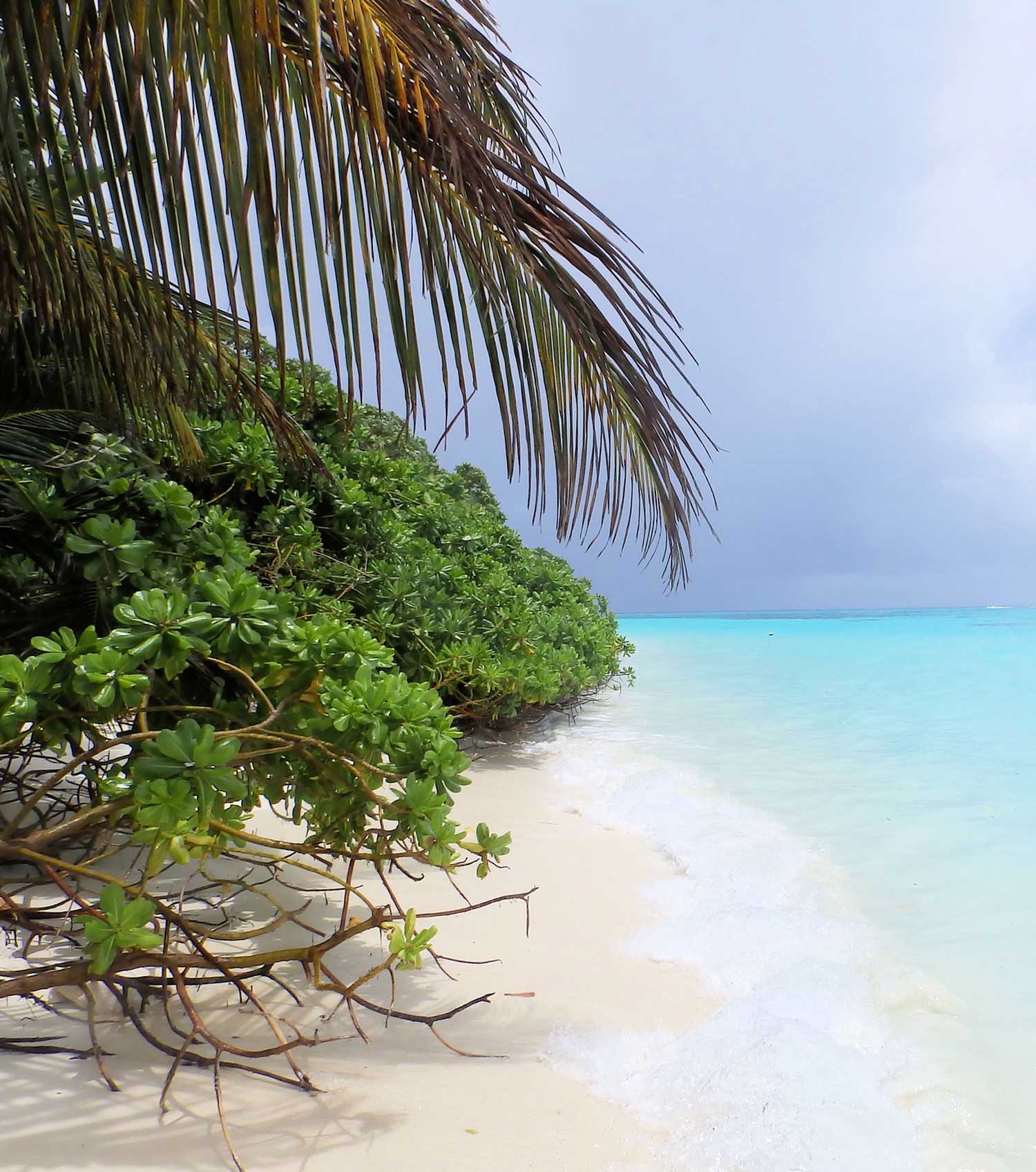 KoolCat Eco Tours Craigcat Boat Rental Marco Island, Fl