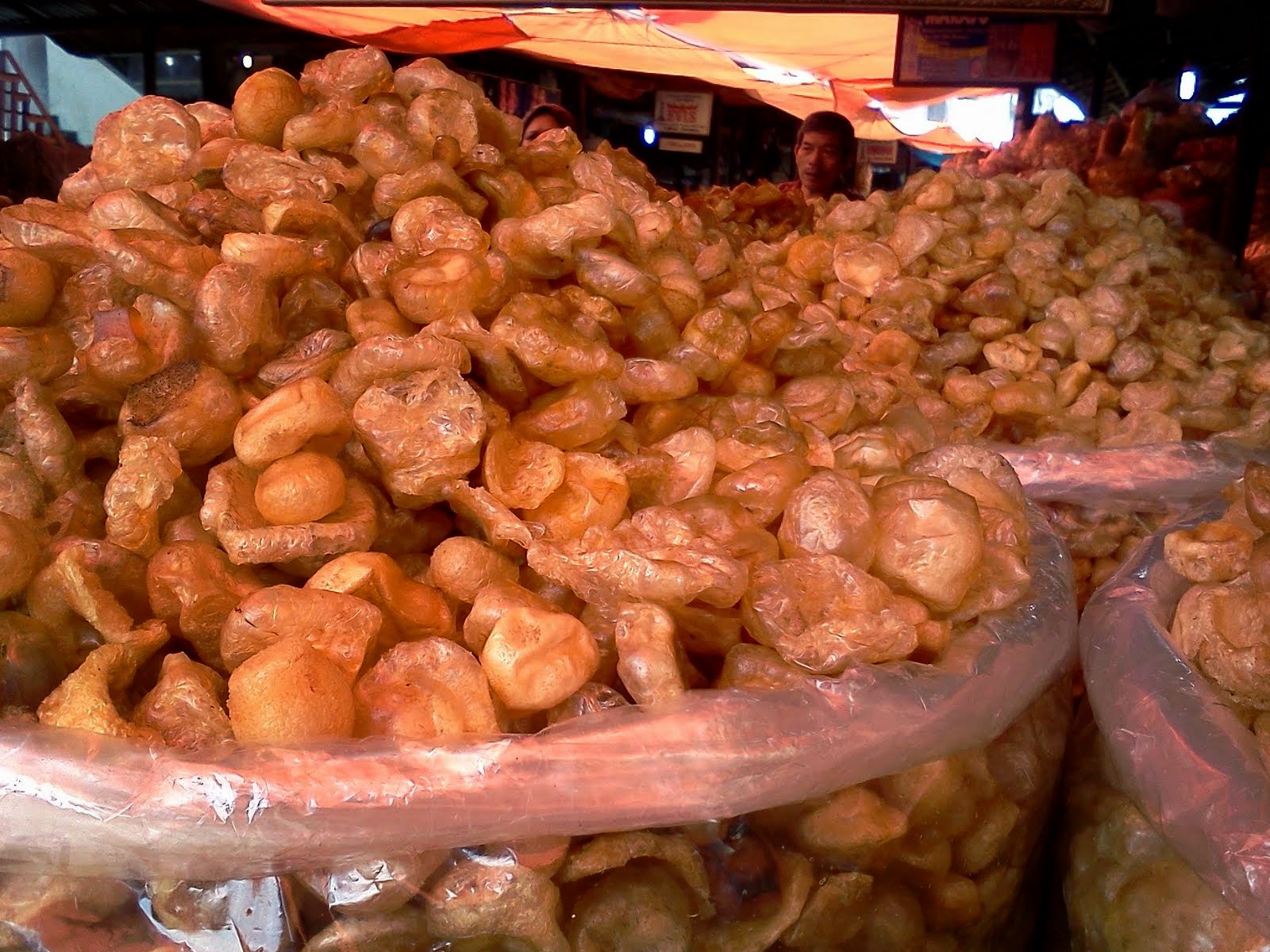 Bawa Oleholeh dari Kota Padang? Wisata Kuliner Indonesia