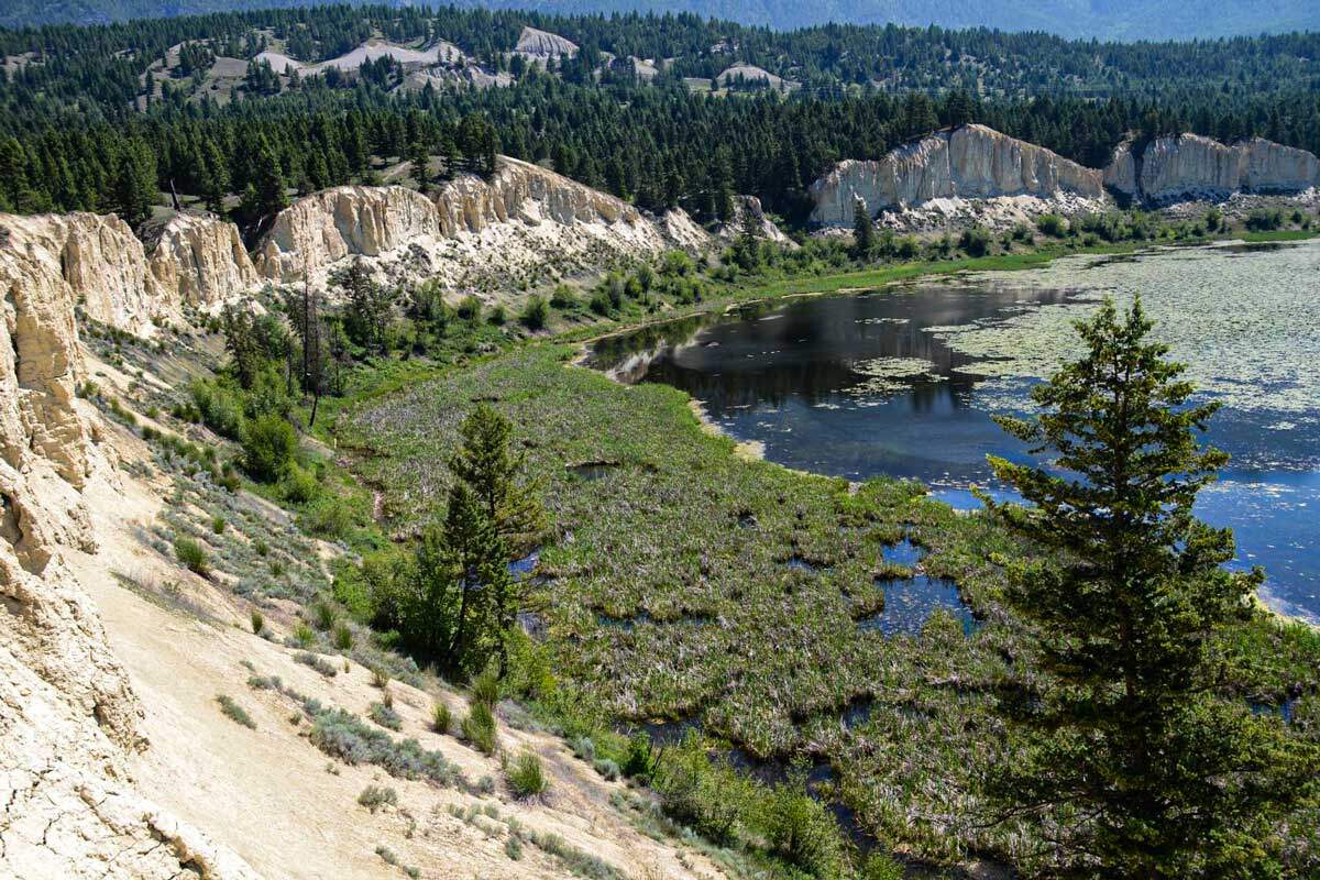 Columbia River Wetlands Edgewater 2019 Kootenay Conservation Program