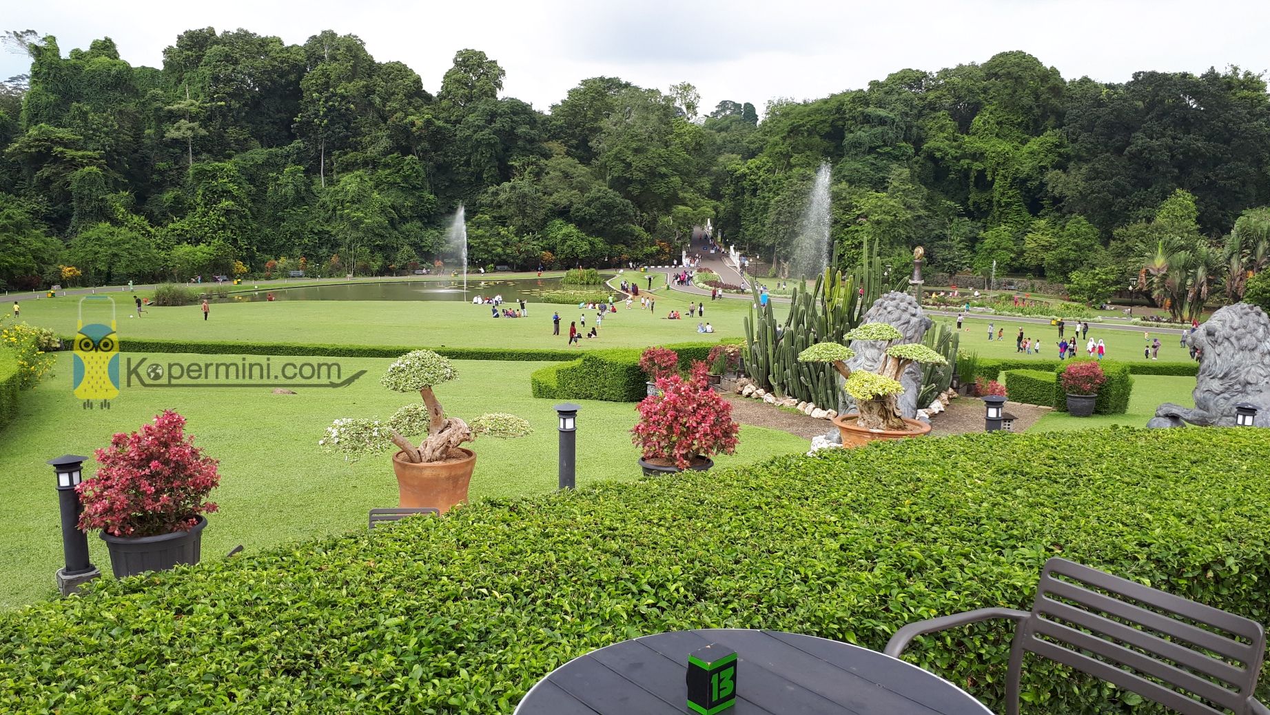 Piknik Asyik di Kebun Raya Bogor KOPER MINI
