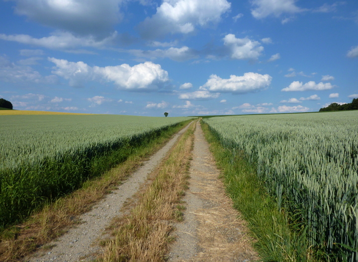 Bilderstrecke Zwischen Tegernbach und Baierberg koppdaniel