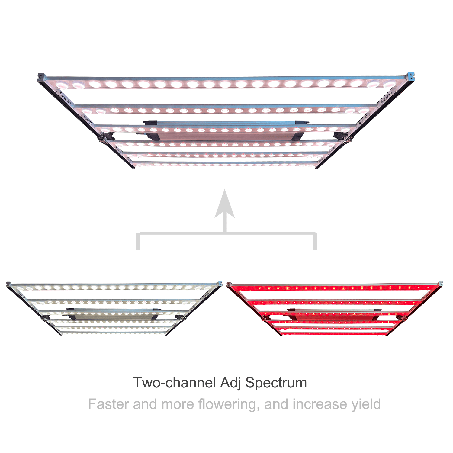 What is the best grow light Higher light uniformity, higher PPFD,Better
