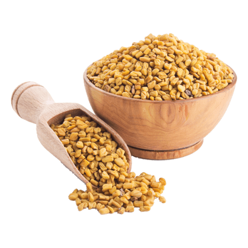 Fenugreek Seeds Suppliers & Exporters India