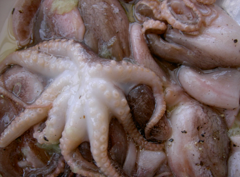 Nakji Bokkeum Octopus Stirfry Cathyln's Korean Kitchen