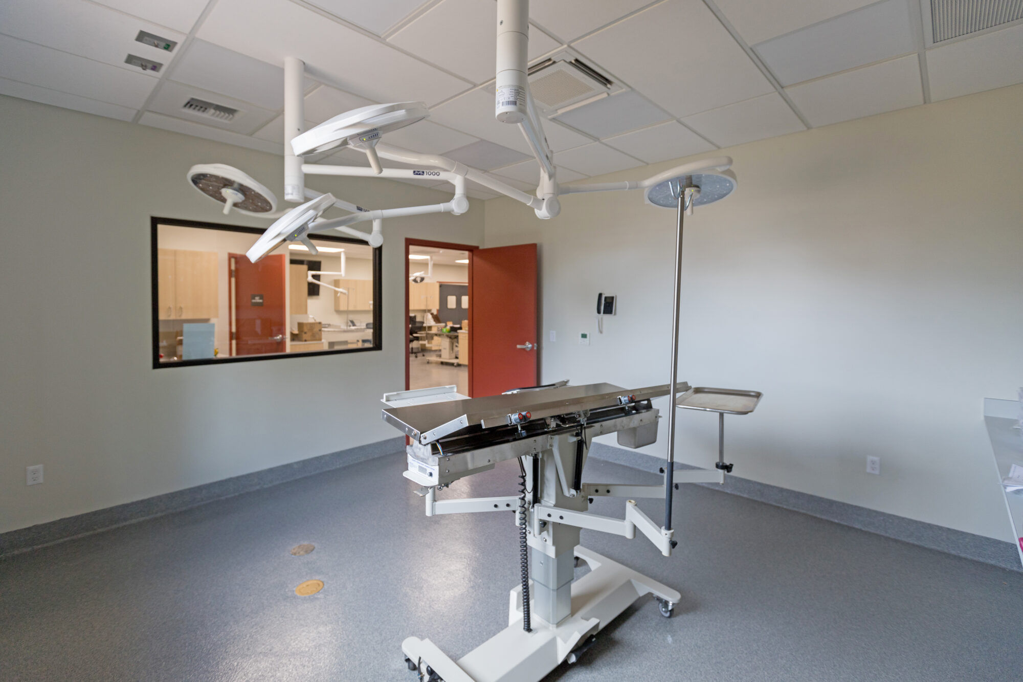 Timber Ridge Animal Hospital Korsmo