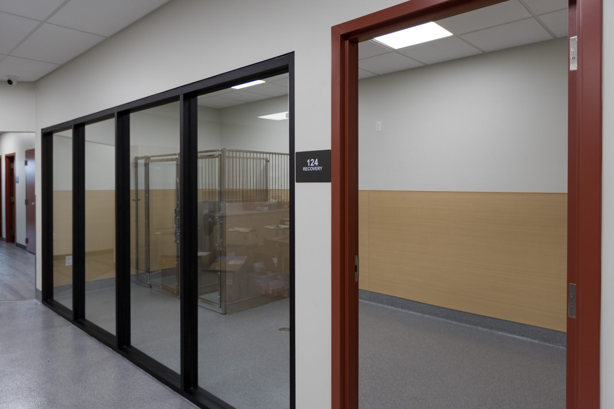 Timber Ridge Animal Hospital Korsmo