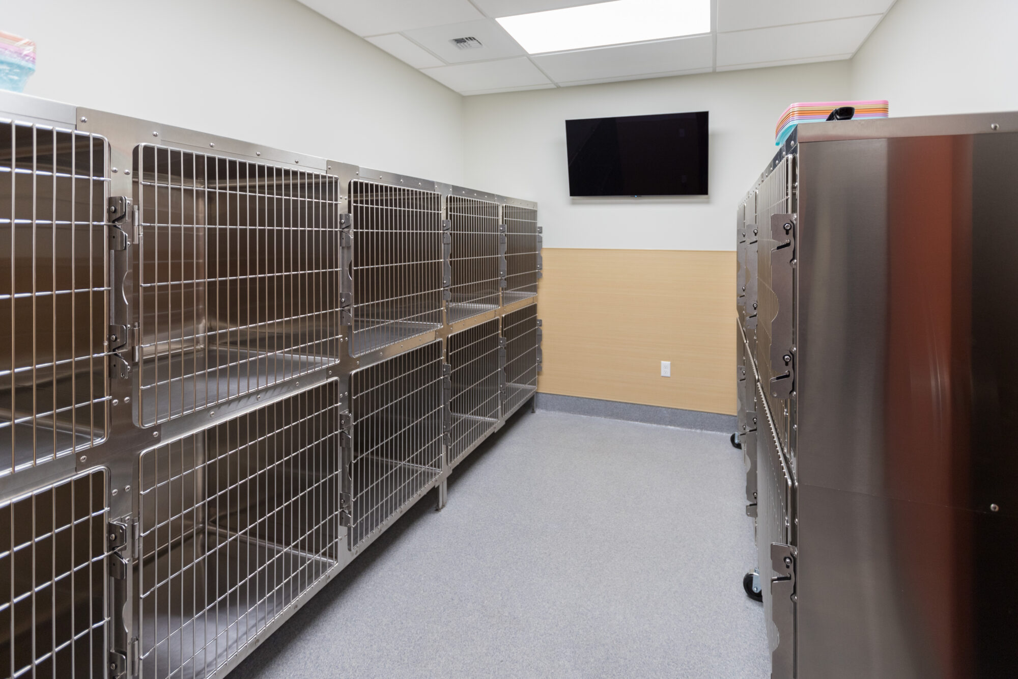 Timber Ridge Animal Hospital Korsmo