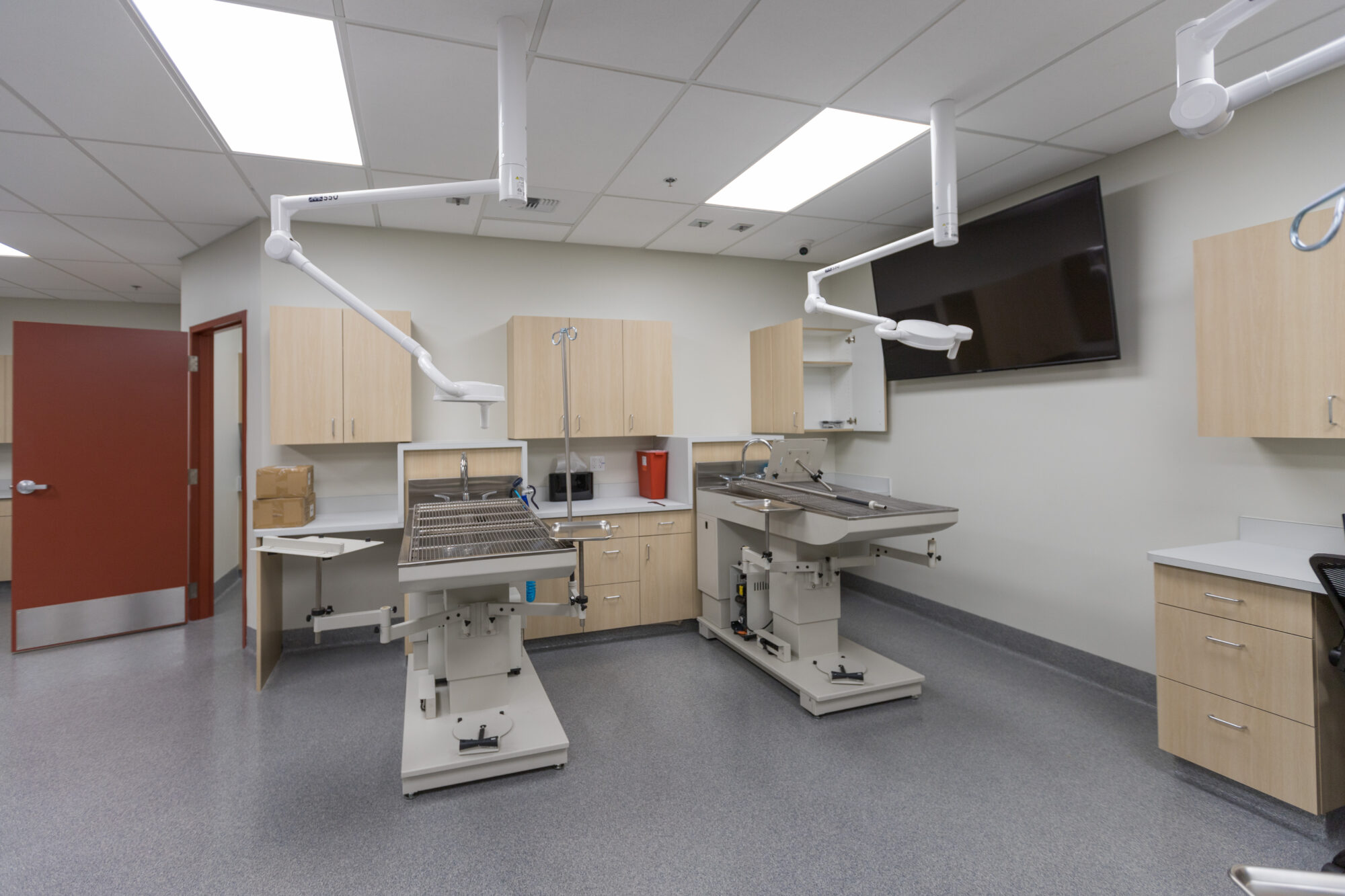 Timber Ridge Animal Hospital Korsmo