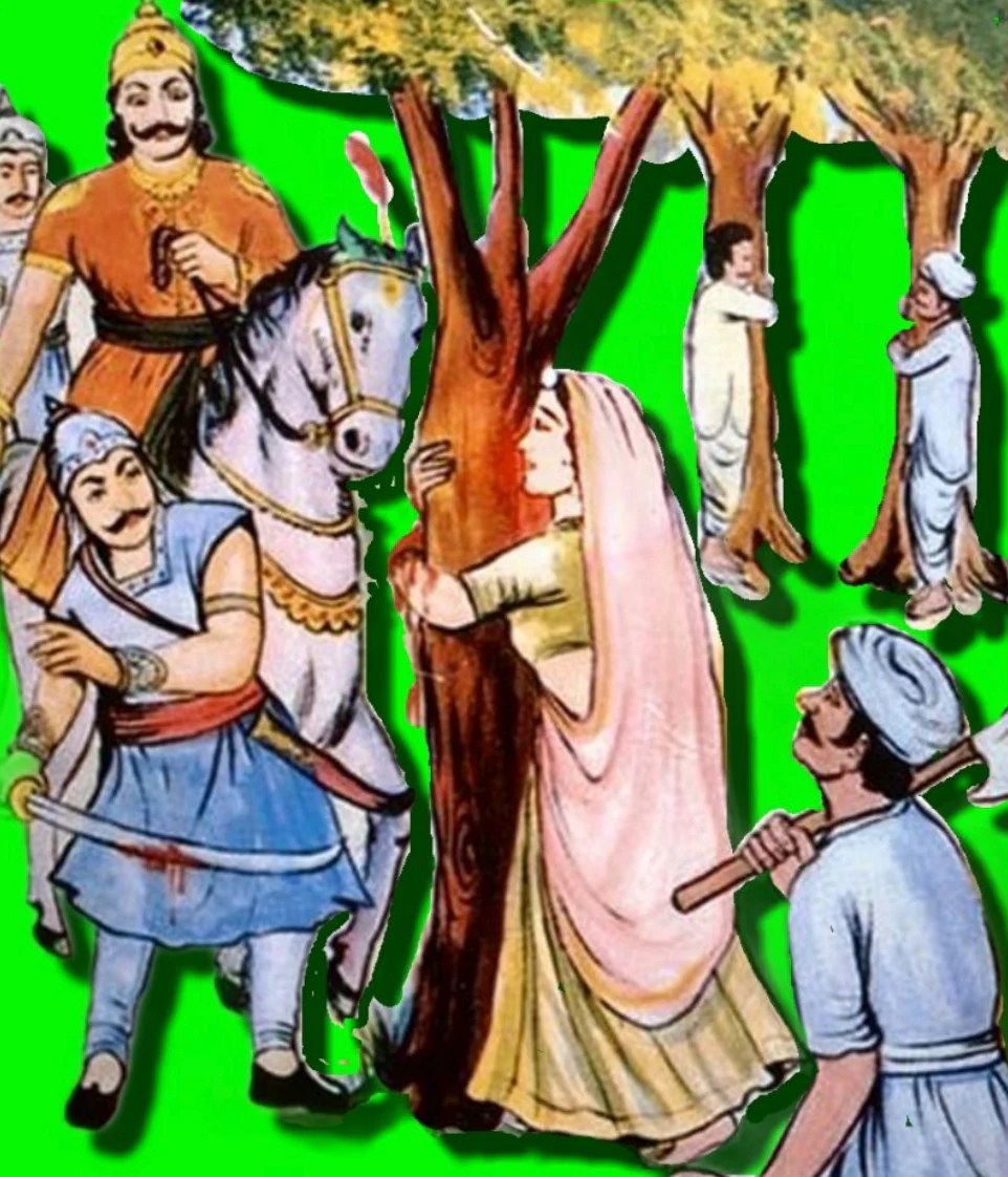 "TreeHugger" Where'd the Word Come From?