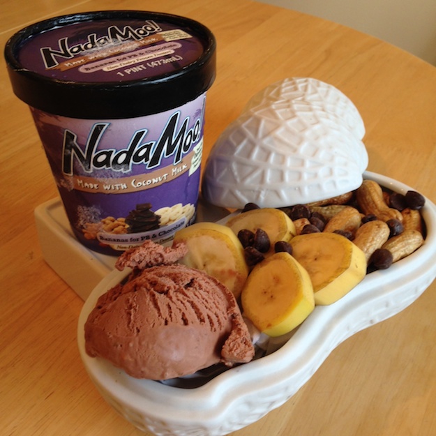 NadaMoo! Frozen Treats Minus the Dairy Kosher Like Me