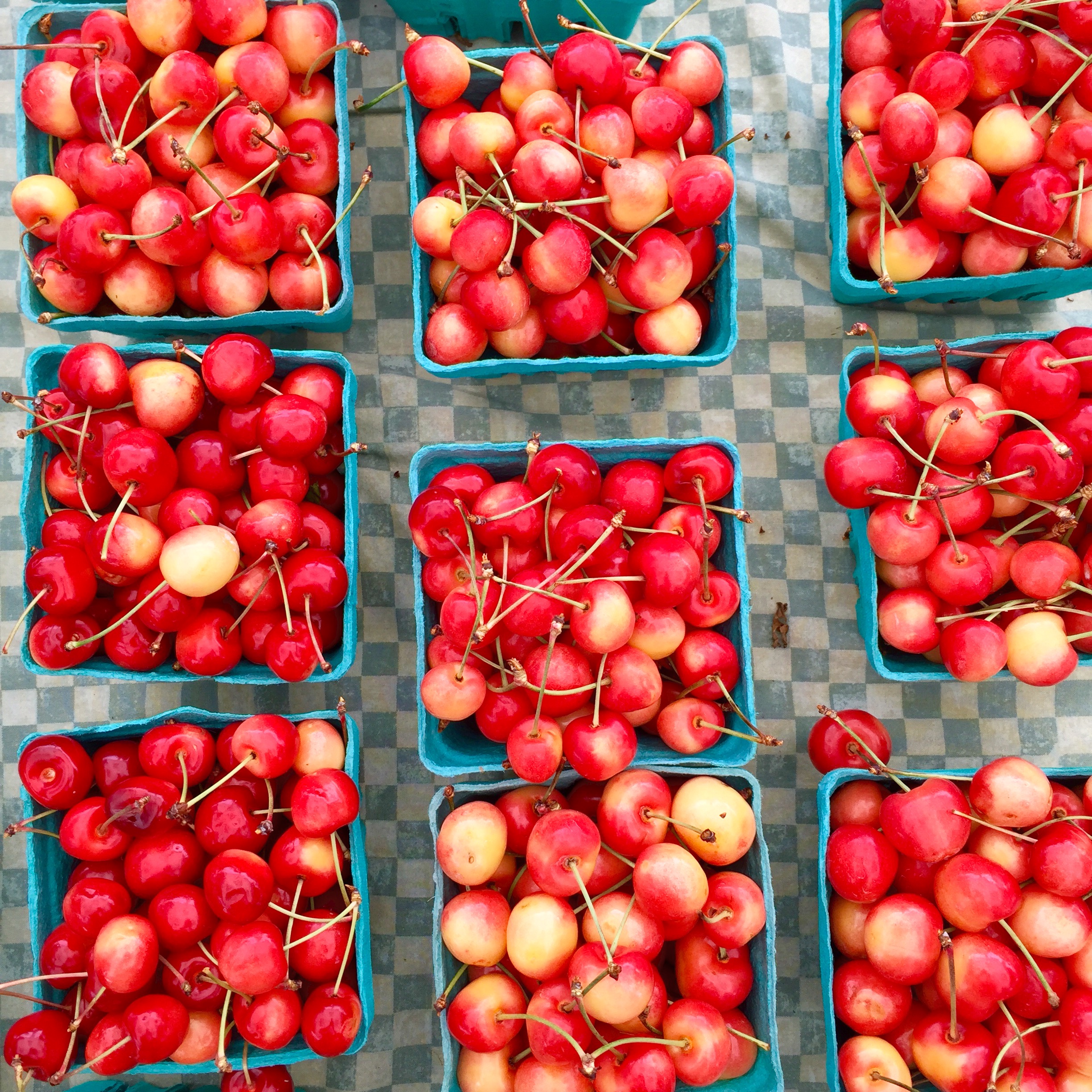 Seasonal Snippet About that Bowl of Cherries Kosher Like Me