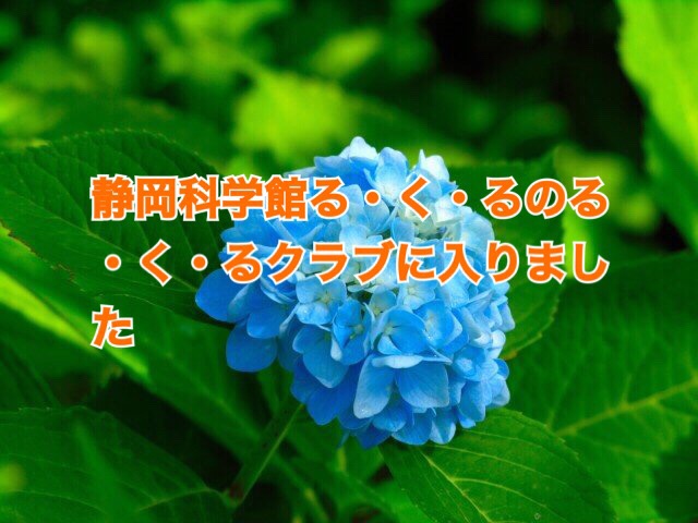 静岡科学館る・く・るのる・く・るクラブに入りました