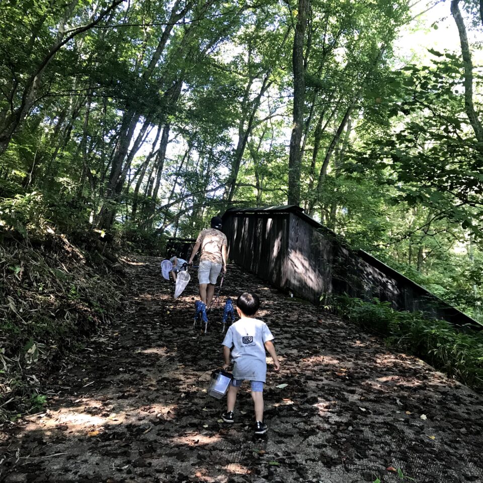 IMG_7495 キャンプde子育て！