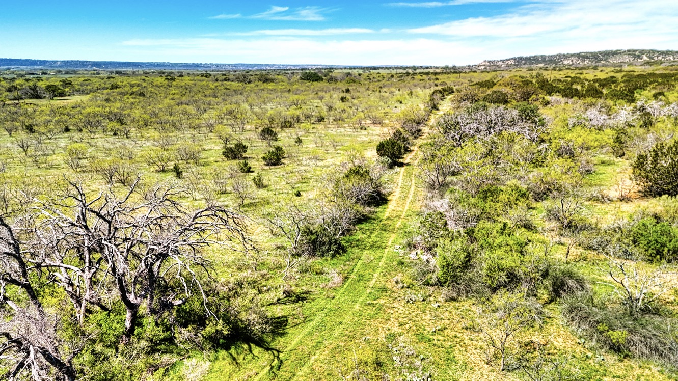 319.89 Acres Kothmann Real Estate