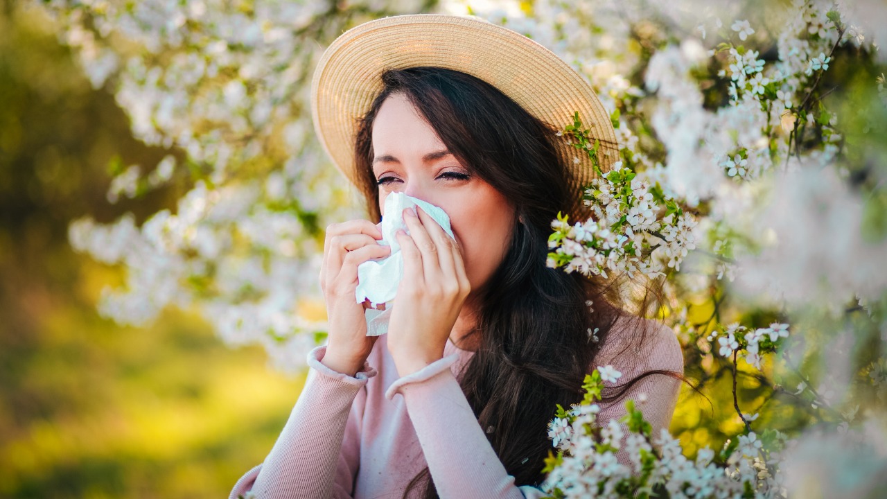 Allerginen nuha voi aiheuttaa hoitamattomana astman näin hoidat nuhaa