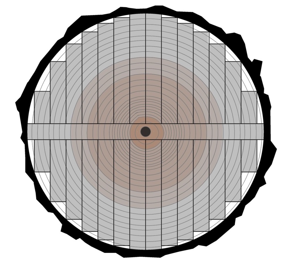 How Tree Trunks Are Cut to Produce Lumber with Different Shapes, Grains